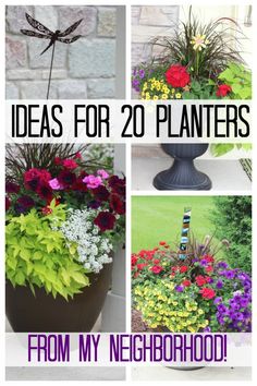 four different pictures with flowers in them and the words ideas for 20 planters from my neighborhood