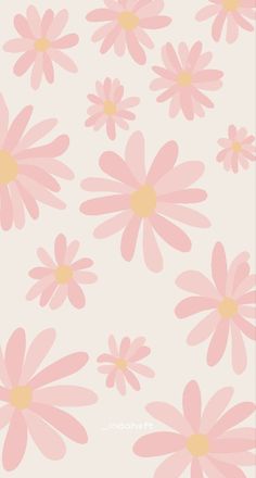 pink daisies on a white background