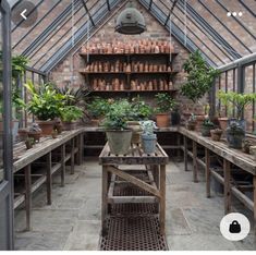 an indoor greenhouse with lots of potted plants