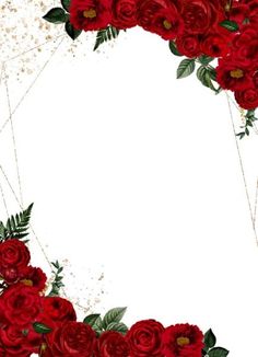 red roses with green leaves are arranged in the shape of a circle on a white background