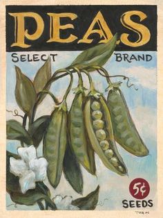 an advertisement for pea's seed company with peas on the branch and white flowers