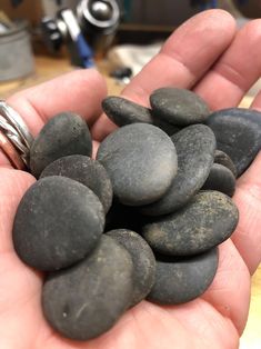 a person holding some rocks in their hand