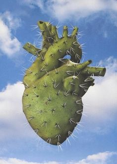 a green heart shaped cactus hanging from the side of a blue sky with white clouds