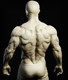 an image of a man's back with muscles exposed and no head or arms