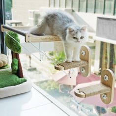 a cat sitting on top of a wooden toy airplane hanging from a window sill