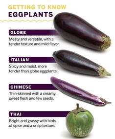 an eggplant is shown with different types of vegetables