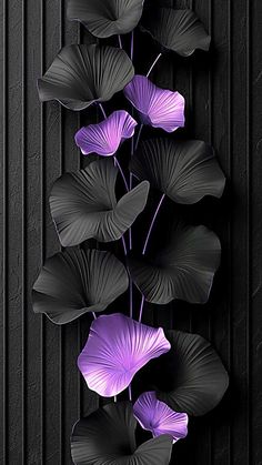 purple flowers are growing on the side of a black wall