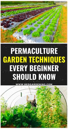 the words permaculture garden techniques every beginner should know on top of an image