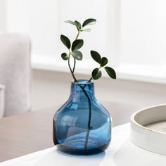 a blue vase sitting on top of a wooden table next to a white tray with a plant in it