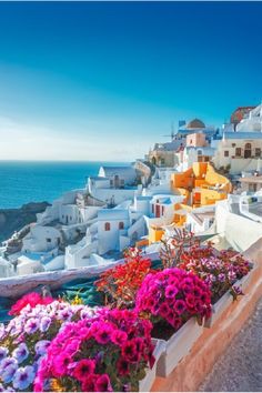 colorful flowers are growing on the side of a building near the ocean and buildings in the background