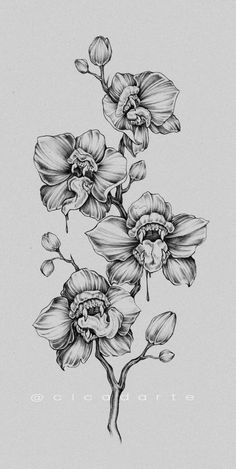 black and white drawing of flowers with the words,'lovecrafts'on it