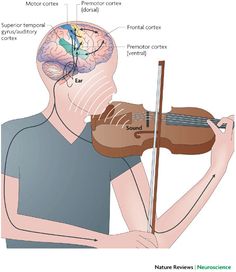 a man is playing the violin with his brain visible in it's left side