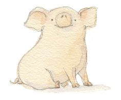 a watercolor drawing of a pig sitting on the ground