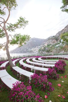 an outdoor ceremony setup with white benches and purple flowers in the foreground, overlooking a body of water