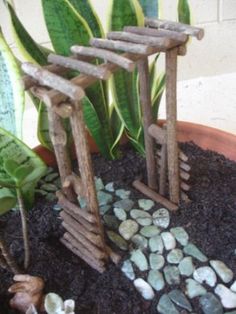 a small garden with rocks and plants in it