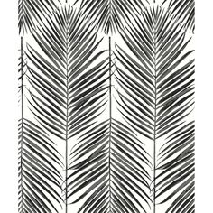 black and white palm leaves on a white background