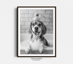 a black and white photo of a dog in a bathtub with a rubber duck on its head