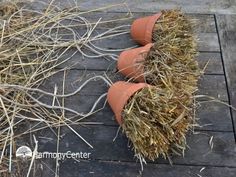 two clay pots with grass in them sitting on a wooden floor next to some straw