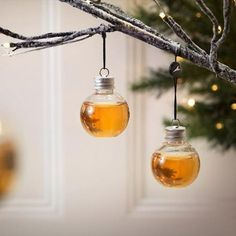 two glass ornaments hanging from a tree branch