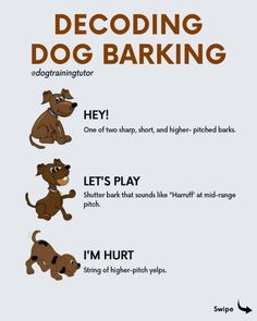 a poster with different types of dogs and their corresponding words in english, spanish, and german