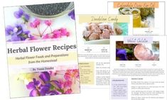 the brochure is full of edible flowers