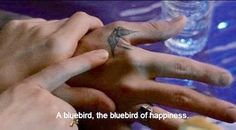 two hands holding each other with the words bluebird, the bluebird of happiness