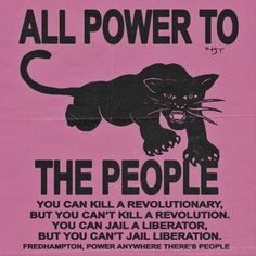 a pink poster with an image of a black cat and the words, all power to the people you can't kill a revolution