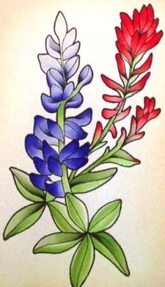 a drawing of some flowers on a white background with red, blue and green leaves