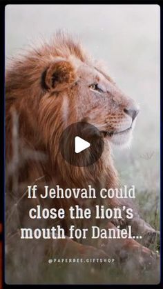 a lion with the quote if jehovah could close the lion's mouth for daniel