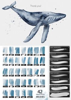 a blue whale is shown in the water and it's colors are all different