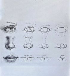 a drawing of different types of eyes