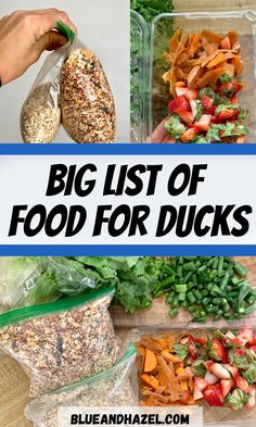 the words big list of food for ducks are in front of pictures of vegetables and bread