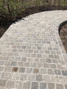 a brick walkway in the middle of a garden