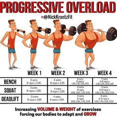 Progressive Overload method isn’t just specialized for strength training, this is going to increase all aspects of your workout. This is where tracking your workouts is HUGE! You need to know what sets and weights you did the previous week.So that for 4 months straight you aren’t continuously doing 4 sets of 135lbs and wondering why you’re not getting any stronger or gaining more mass. If you want results, you need to push the weight, push the reps, add an additional 5lbs this week. Progressive Overload, Workout Man, Trening Sztuk Walki, Gym Antrenmanları, Fitness Routines, Effective Workout Routines, Muscle Building Workouts