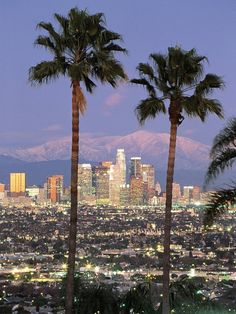 two palm trees in front of a cityscape with mountains in the back ground