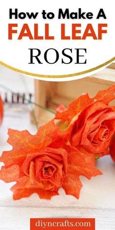 an orange rose with the words how to make a fall leaf rose on it in front of