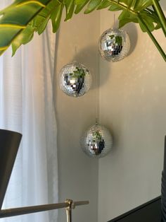 three disco ball ornaments hanging from a wall next to a plant in a room with white walls