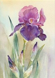 a watercolor painting of purple flowers in a vase