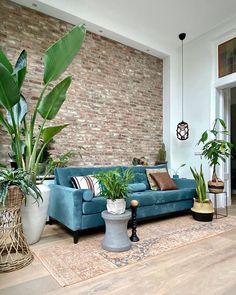 a living room with blue couches and potted plants on the floor in front of a brick wall