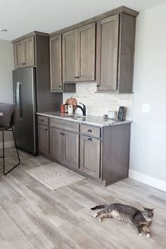 a cat laying on the floor in a kitchen