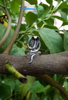 Animal Snake Ring Snake Ring Made of High Quality Silver Animal Ring Daily Ring Handmade Ring Silver Snake Ring Gift for Woman Gift for Woman Gift for Beloved Snake Jewelry Animal Jewelry. Cobra Snake Ring Adjustable Snake Ring Gift, Handmade Adjustable Snake Ring As Gift, Adjustable Silver Snake-shaped Ring, Handmade Adjustable Snake Shape Rings, Handmade Adjustable Snake Ring, Handmade Sterling Silver Snake-shaped Ring, Sterling Silver Snake Ring Gift, Handmade Snake Shaped Ring As Gift, Handmade Snake Ring