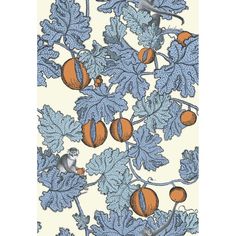 an orange and blue wallpaper pattern with birds on the tree branches, which are surrounded by acorns