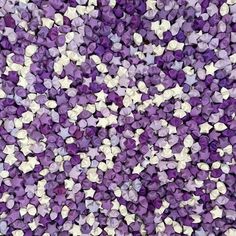 purple and white speckles are scattered together