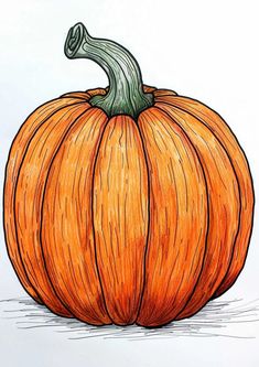 a drawing of a pumpkin on a white background