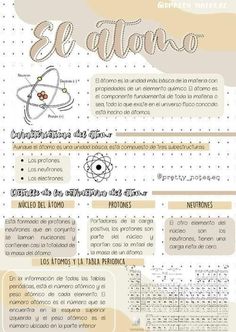 an info sheet with information about the different types of items in each language, including numbers and