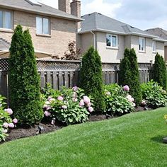 a row of houses with flowers in the front yard