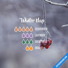 Winter Nap - Essential Oil Diffuser Blend Săpunuri Handmade, Magia Das Ervas, Oil Remedies, Cedarwood Oil