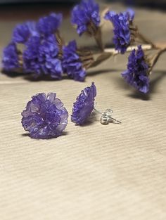 Introducing our beautiful Natural Sea Lavender Stud Earrings - each pair is made by hand, showcasing the charm of real sea lavender captured in resin. These earrings are not just accessories; they're a piece of nature you can wear every day. 🌿 Carefully Made: These earrings are crafted with care, making each one special. The sea lavender is put into resin, creating a unique piece. 🌸 Nature's Beauty: The sea lavender used in these earrings brings a bit of nature's beauty to your style. The colo Purple Hypoallergenic Flower Earrings As Gift, Purple Sterling Silver Flower Earrings For Gift, Gift Purple Flower Earrings In Sterling Silver, Purple Resin Earrings Perfect For Gifts, Lavender Drop Flower Earrings, Lavender Resin Jewelry, Purple Resin Earrings As A Gift, Elegant Lavender Nickel-free Earrings, Purple Resin Earrings As Gift