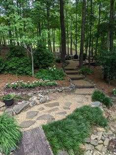 a stone path in the middle of a wooded area with steps leading up to it