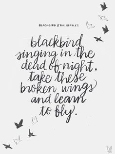 blackbird singing in the dead at night take these broken wings and learn to fly